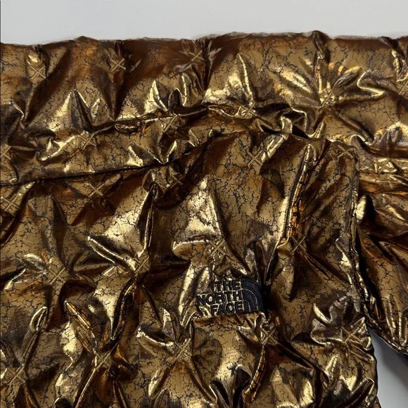 The North Face Women's Shiny Gold Holladown vest - Picture 13 of 13